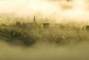 Arendt | Blick auf Seelbach im Nebel